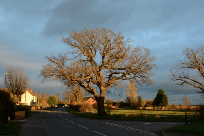 Digital transformation for Public Sector | Embridge Consulting