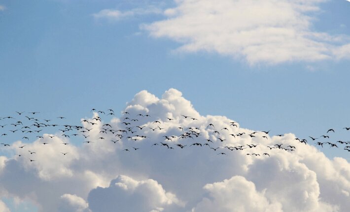 Business Transformation Consultancy | Embridge Consulting