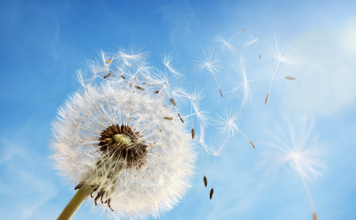 Climate Bonds Initiative | Embridge Consulting