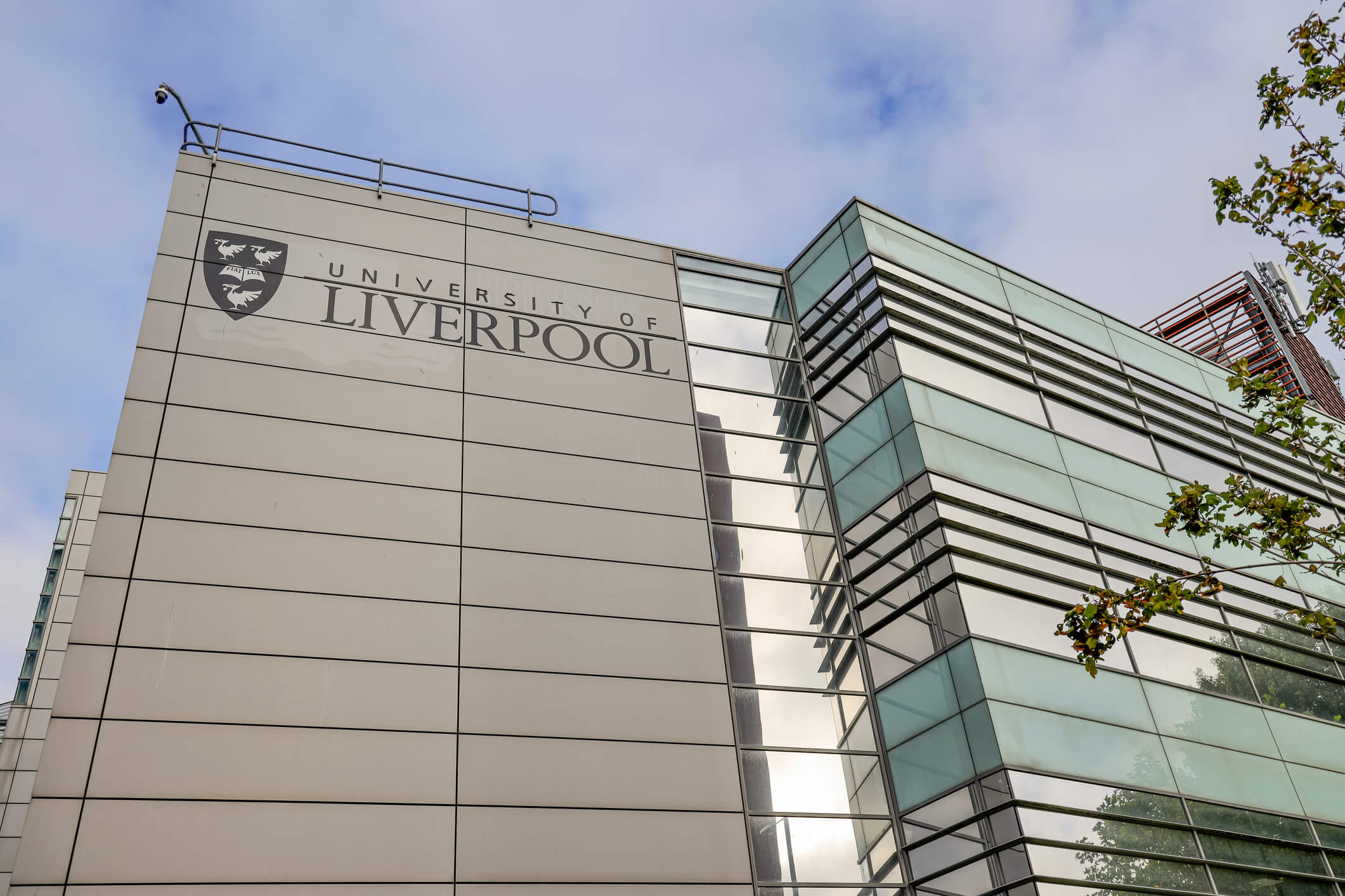 Charity Walk for Mark Aaron | Embridge Consulting