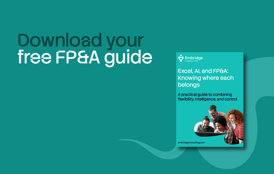Guide: Excel, AI, and FP&A: Knowing where each belongs